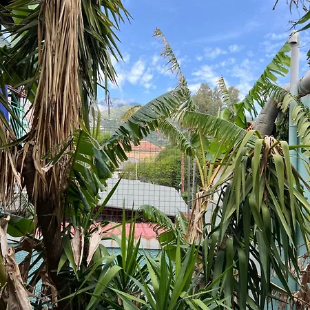 Apartament Medusa